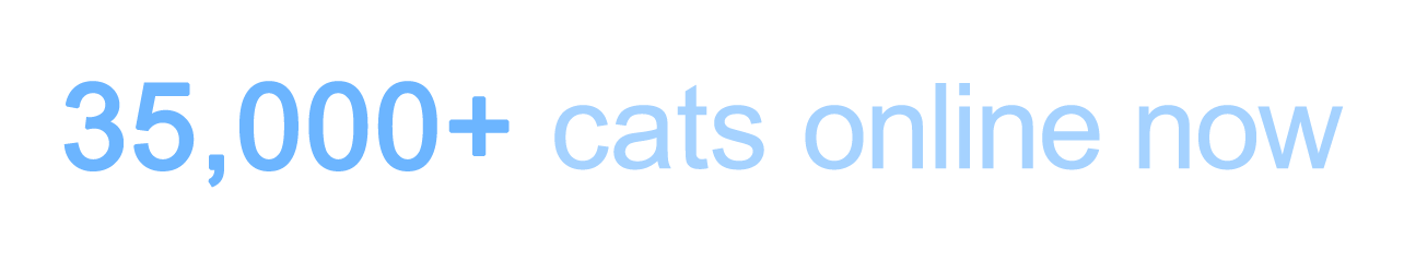 35,000+ cats online now